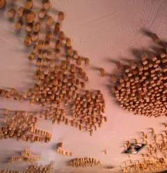 Het plafond, Le Loup Blanc