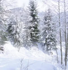 Itinéraire des Dôdes