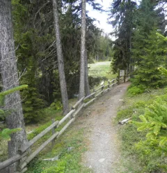 Lac Noir veen