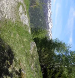 Het natuurpad