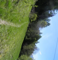 Het natuurpad