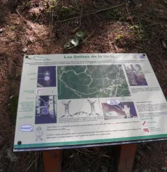 Het natuurpad