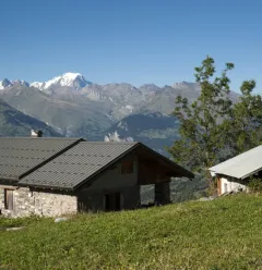 Le Chanton