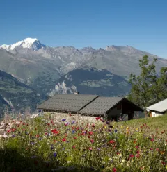 Le Chanton