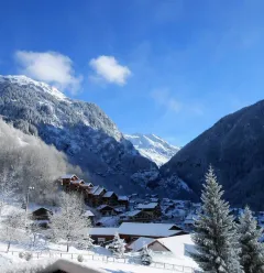 Residentie Ancolie n°40 - appartement 4 pers.