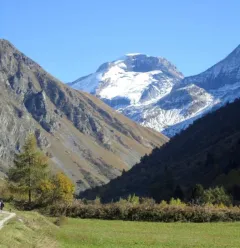La Taillette - chalet 6 pers.