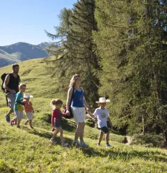 De Betoverende Alpenweiden
