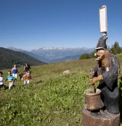 De Betoverende Alpenweiden