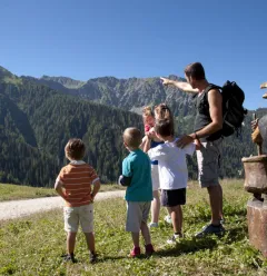 De Betoverende Alpenweiden