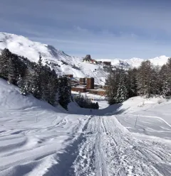 LA PLAGNE