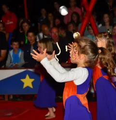 Circusvoorstelling
