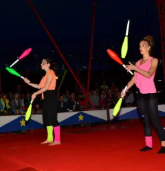 Circusvoorstelling