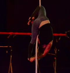 Circusvoorstelling