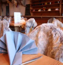 Gezellige decoratie van restaurant le Farçon