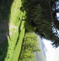 De weg van la Pierra