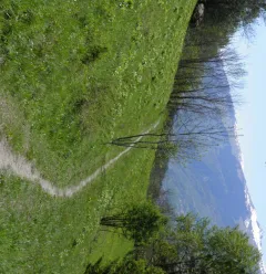 De weg naar la Pierra