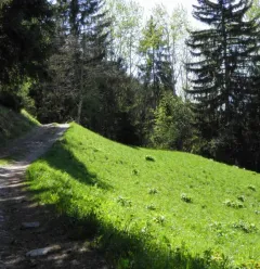 De weg naar la Pierra