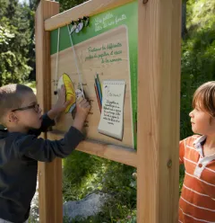 Biodiversiteit zomer