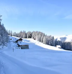 Wandelroute : Les Frasses_Montchavin-les-Coches