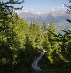 Pad van de Mont Saint Jacques