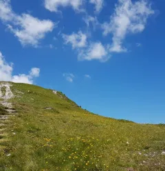 Pad van de Mont Saint Jacques