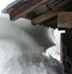 Wandeling op sneeuwschoenen met het bureau van gidsen en begeleiders