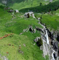 Wandelroute: Sentier du Plateau de Plan Pichu (Plan Pichu plateau wandelroute)_Aime-la-Plagne