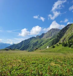 Wandelroute: Sentier de la Croix du Berger (Herderskruispad)_Aime-la-Plagne