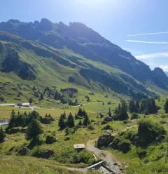 Wandelroute: Sentier de la Croix du Berger (Herderskruispad)_Aime-la-Plagne
