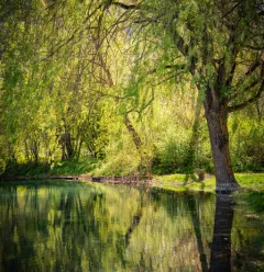 Wandelroute: botanisch en ecologisch pad Centron_Aime-la-Plagne