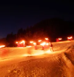 Fakkelafdaling