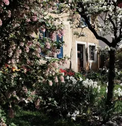 Jardin