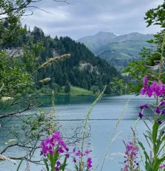 vtt-experience-e-beaufortain-la-plagne-paradiski-1-c7029