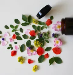 natuurlijke cosmetica