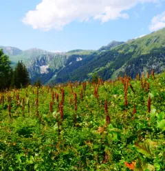 Tour du Merle 9