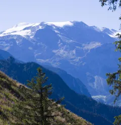Vue sur les glaciers