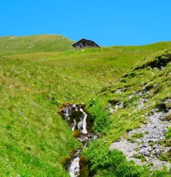 Randonnée Le Lac de la Vélière et l'alpage de la Chiaupe 5