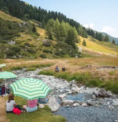 Rencontre d'alpage