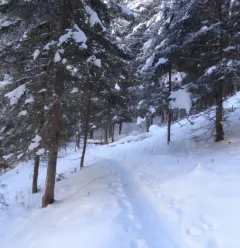 Taillette sneeuwschoenroute