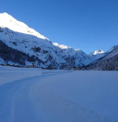 Sneeuwschoenwandeling Comba Damon