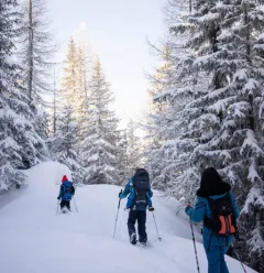 Parcours "Le Bois des Fornettes"