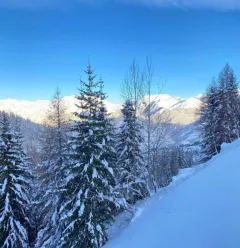 Uitzicht vanaf het balkon