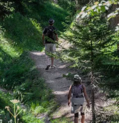 Route Bois des Fornettes