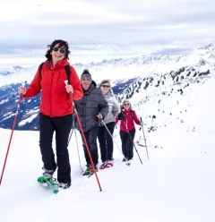 Groep sneeuwwandelen