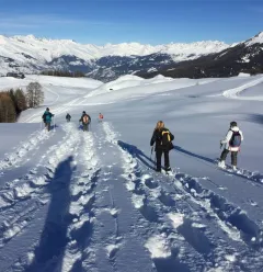 Wandelingen met sneeuwschoenen_Plagne-Montalbert
