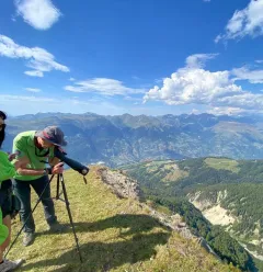 Sortie observation de la faune sauvages