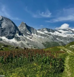 Matthieu RONDOUIN - berggids