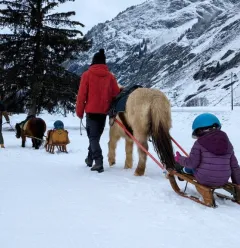 poney luge