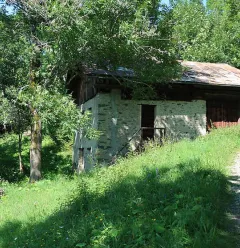 Le Bois pad