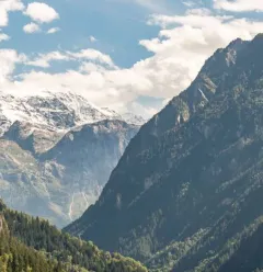 LES ALPAGES de CHAMPAGNY